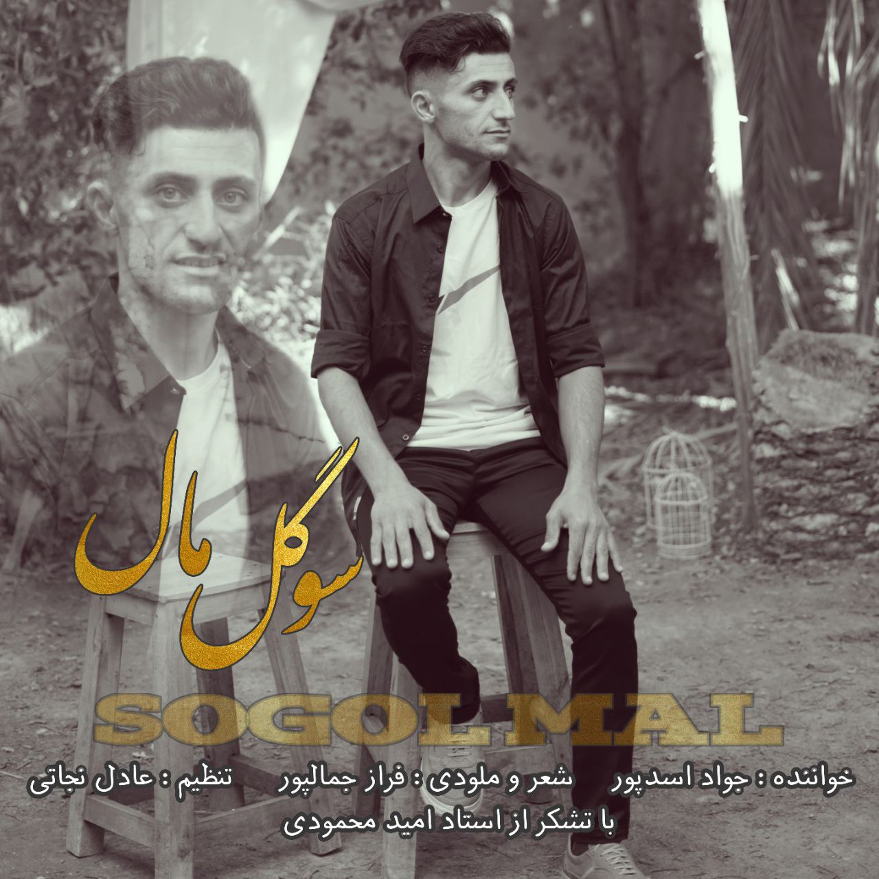 جواد اسدپور سوگل مال
